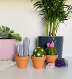 The 'no pricks' vegan cactus needle felting kit!