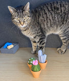 The 'no pricks' vegan cactus needle felting kit!